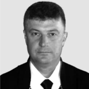 Alexander Nikolaevich Cockroaches