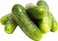 Огурцы