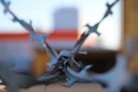 Обоснование признания политическими заключенными Олега Борозны и Александра Матеюка