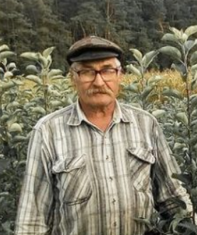 Николай Герасимович Витиков