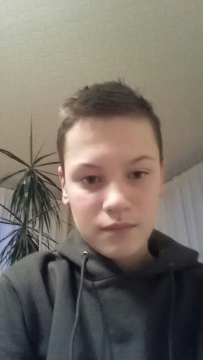 Аляксей Аляксандравіч Дайнэка