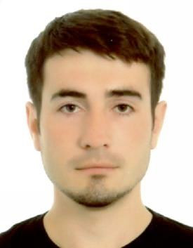 Анатолий Анатольевич Старосветский